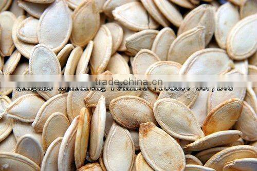 Pumpkin seeds in shell