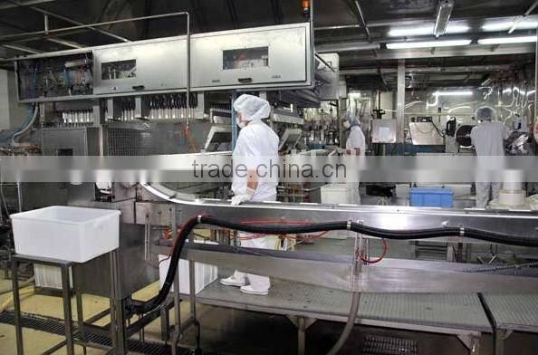 Packaging Machine. Pillow Packaging Machine