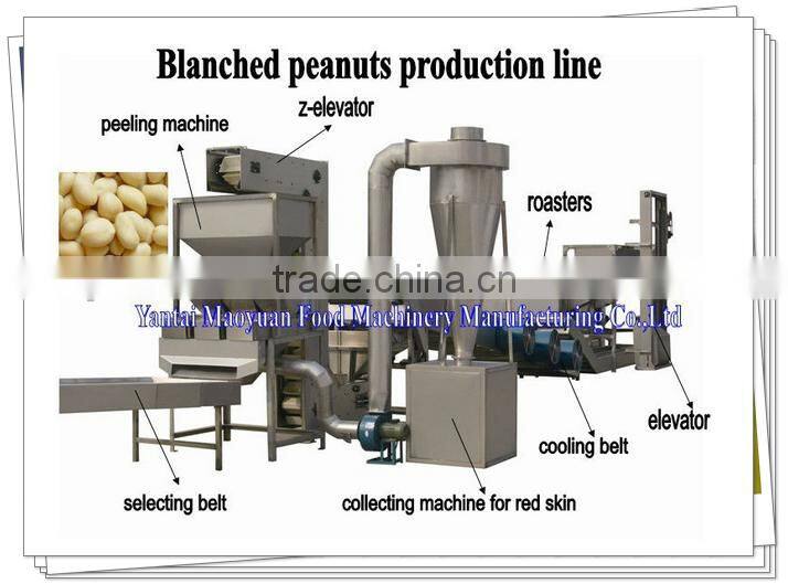 factory direct supply blanched groundnut processing line with CE ISO certificates