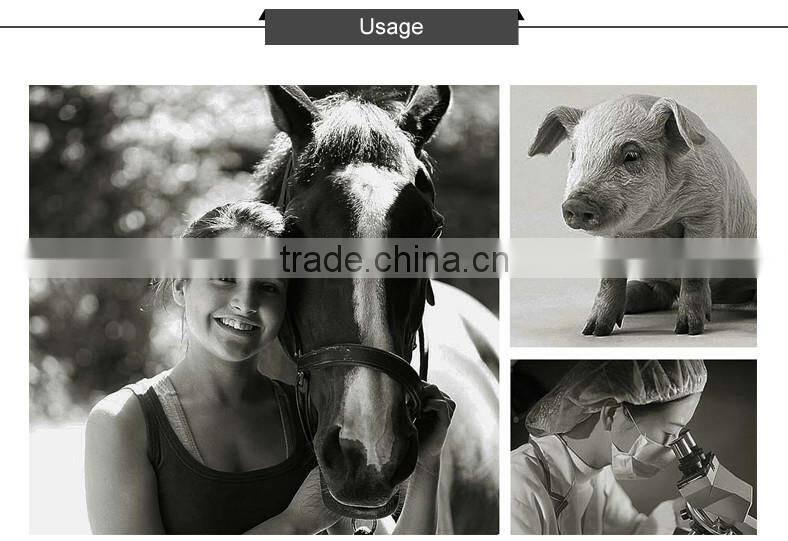 Vet/Pet Cohesive Bandages