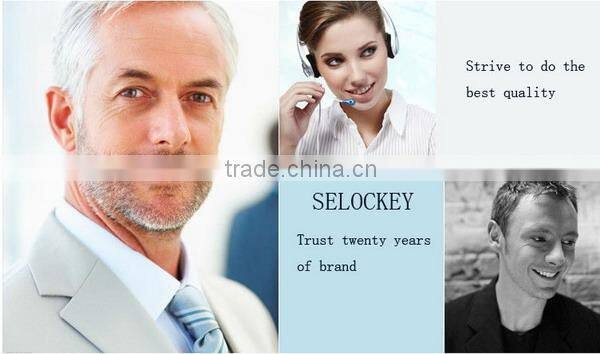 China Supplier Hot Product Software Control RFID and Password Locker Lock