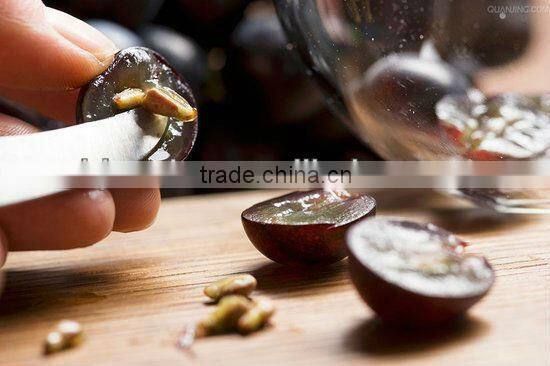 GMP 95% proanthocyanidine grape seed extract (high orac value)