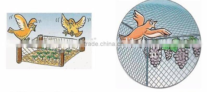 Bird Net Manufacturers, Bird protection nets from factory, orchard and agriculture use anti bir nets