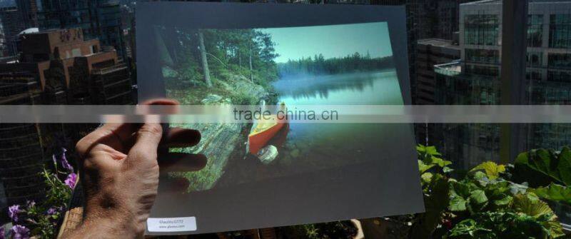 2016 full HD rear projector film design