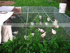 Xinxiang competitive Hexagonal Wire Netting