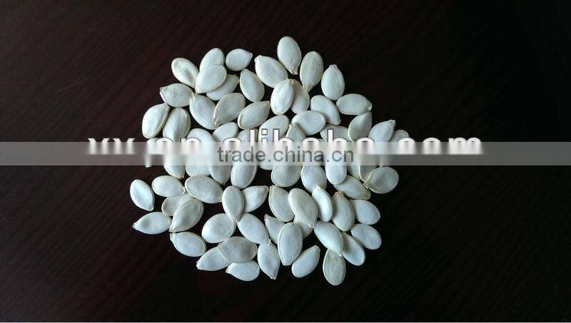 2014 hot sale best quality chinese sunshine pumpkin seeds price