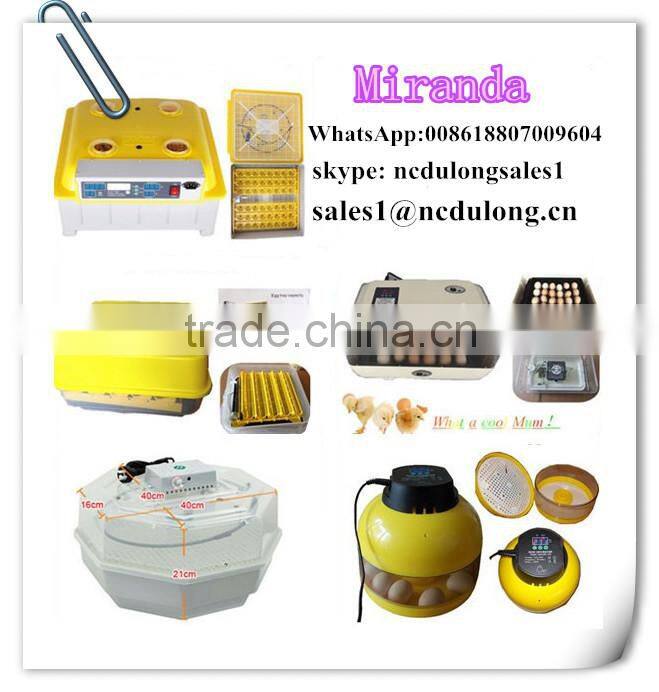 Hottest selling mini quail egg incubator hatching for sale