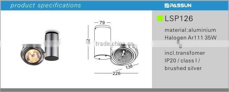 AR111 surface mounted rotatable spot light & indoor spotlight