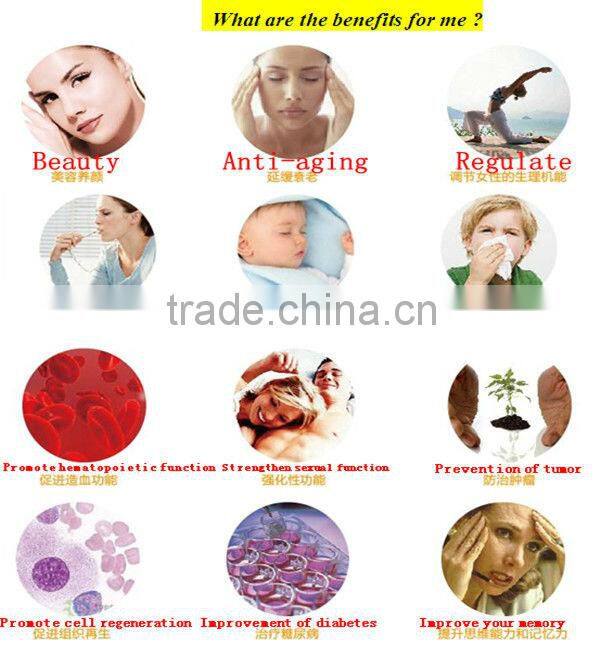 Supply 10-HDA cheapest freight frozen package organic royal jelly extract