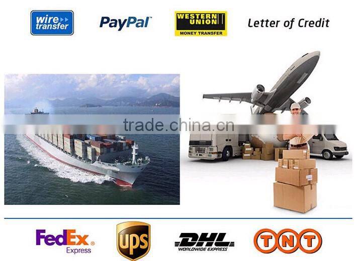 15 inch industrial lcd monitor with VGA+DVI IP65