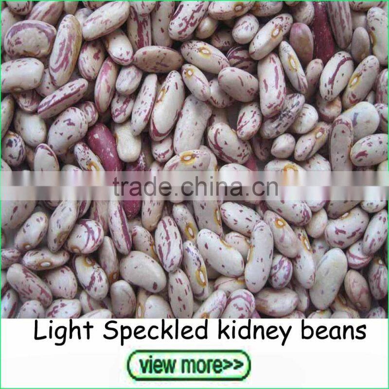 Export Grade Shine Skin Pumpkin Seeds in Bulk