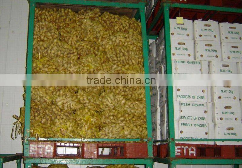 Sell Super ginger and top ginger