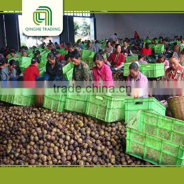 high quality light quarters walnut kernels market price