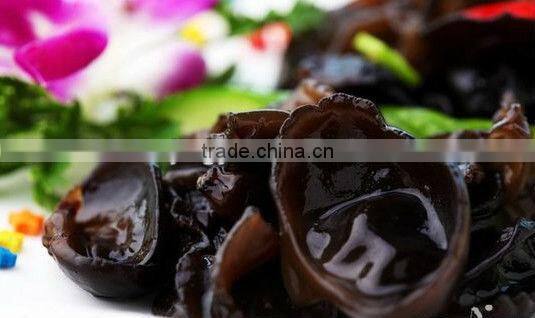 Dried well qualilty Black Fungus best price