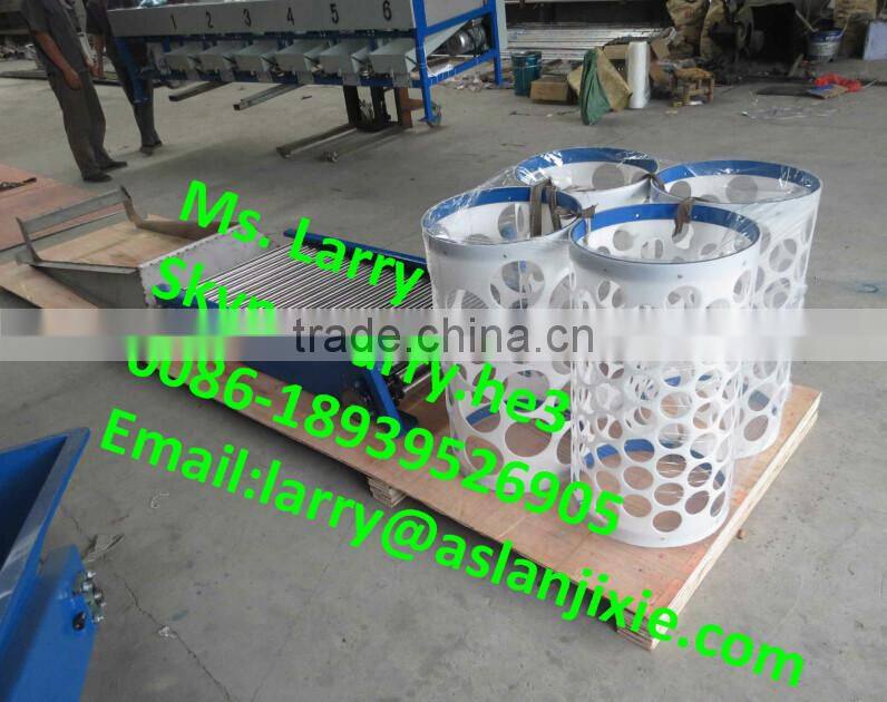 nut size sorting machine/walnut size grader/walnut size sorter