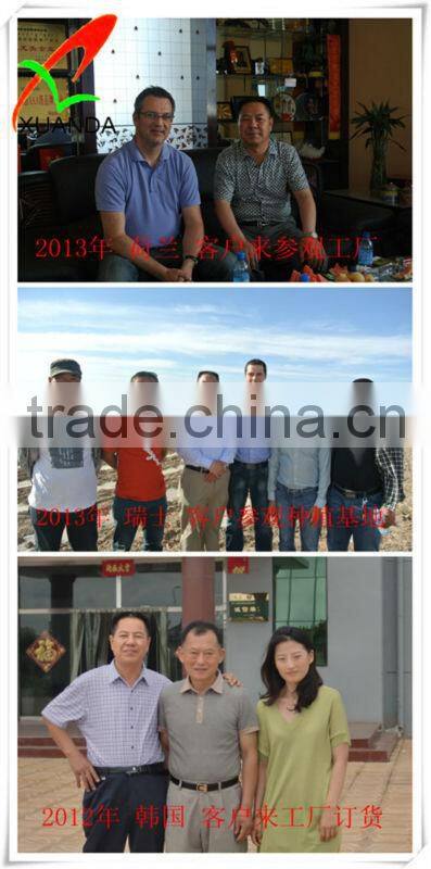 bird food cheap sunflower seeds kernels chips