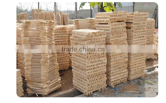 Langstroth beehive two-level bee hive china supplies B-7L