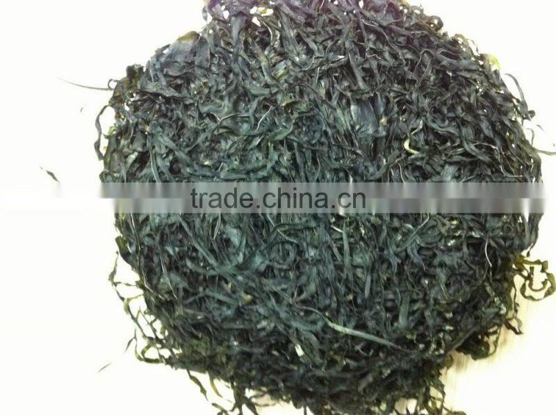 Seaweed drying machine,artificial seaweed,dried kelp laminaria,dried sea kelp
