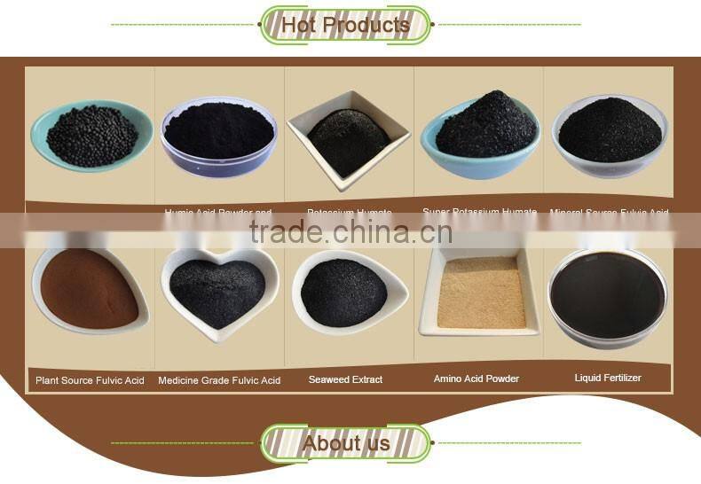 Top application economical price organic seaweed based fertilizer