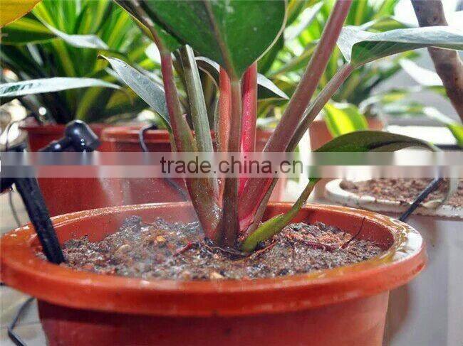 Micro Irrigation Fogger Mister Drippers Spray Mist Fog 4mm Sprinkler Hydroponics