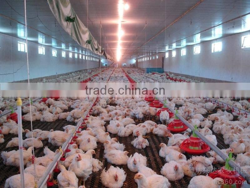 Poultry farm house chicken structure