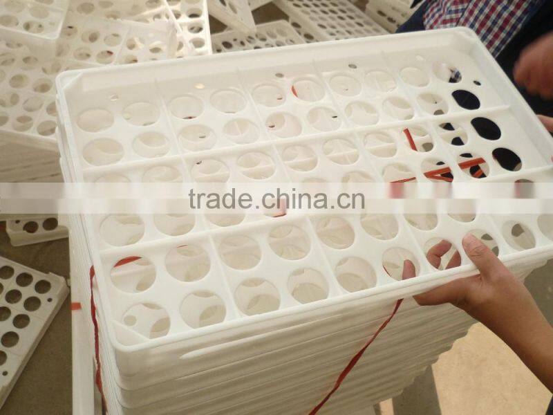 60 holes Eggs cartons chicken egg tray