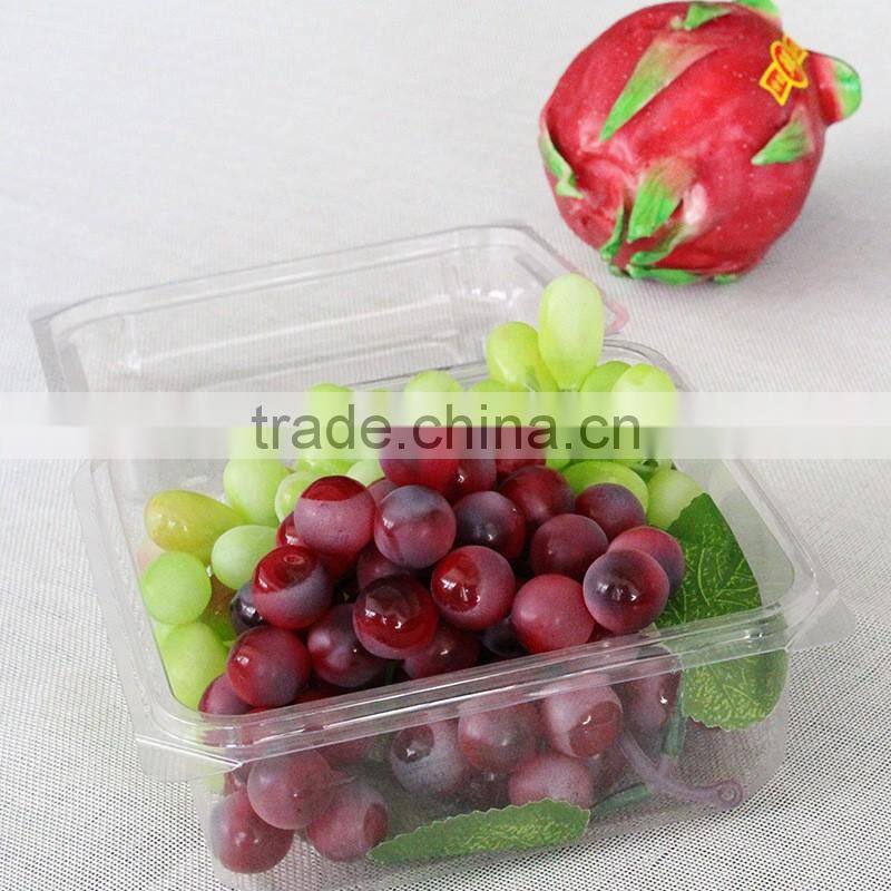 Disposable Fruit Plastic Packaging Container for blueberry