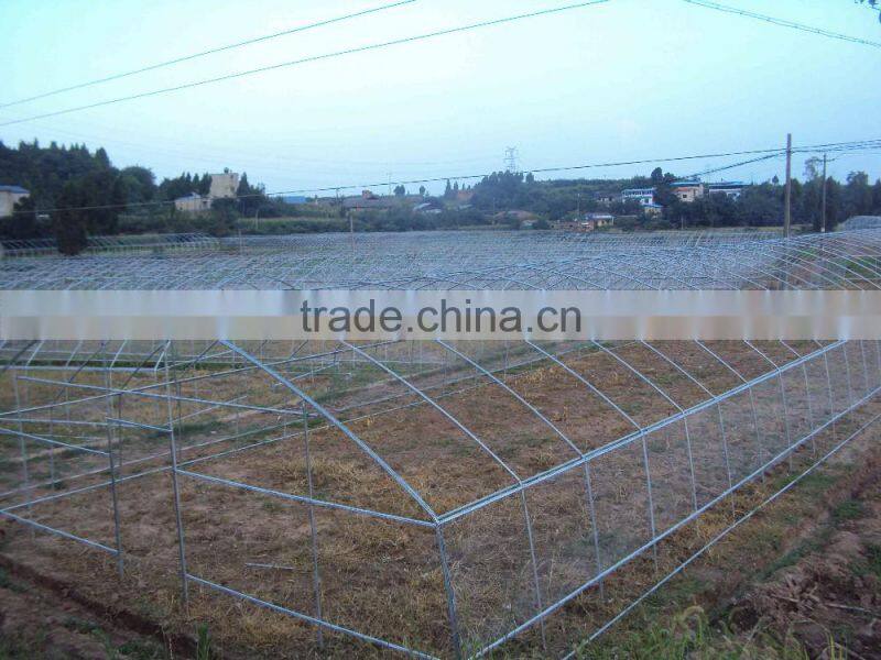 Single-Span Plastic Film Covered Green House For agricultural Planting
