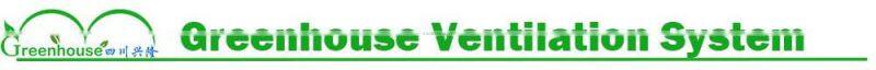 Industrail Ventilation Air Exhaust Fan for Greenhouse