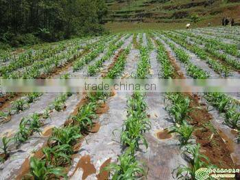 high quality greenhouse film,biodegradable mulch film