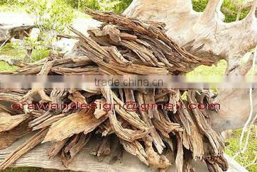 Natural roots for aquarium