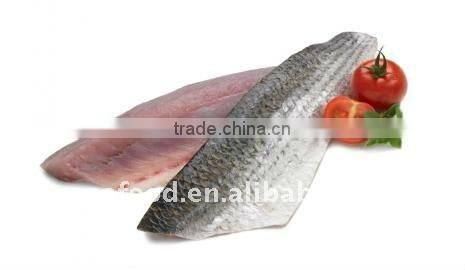 IQF frozen grey mullet fillets