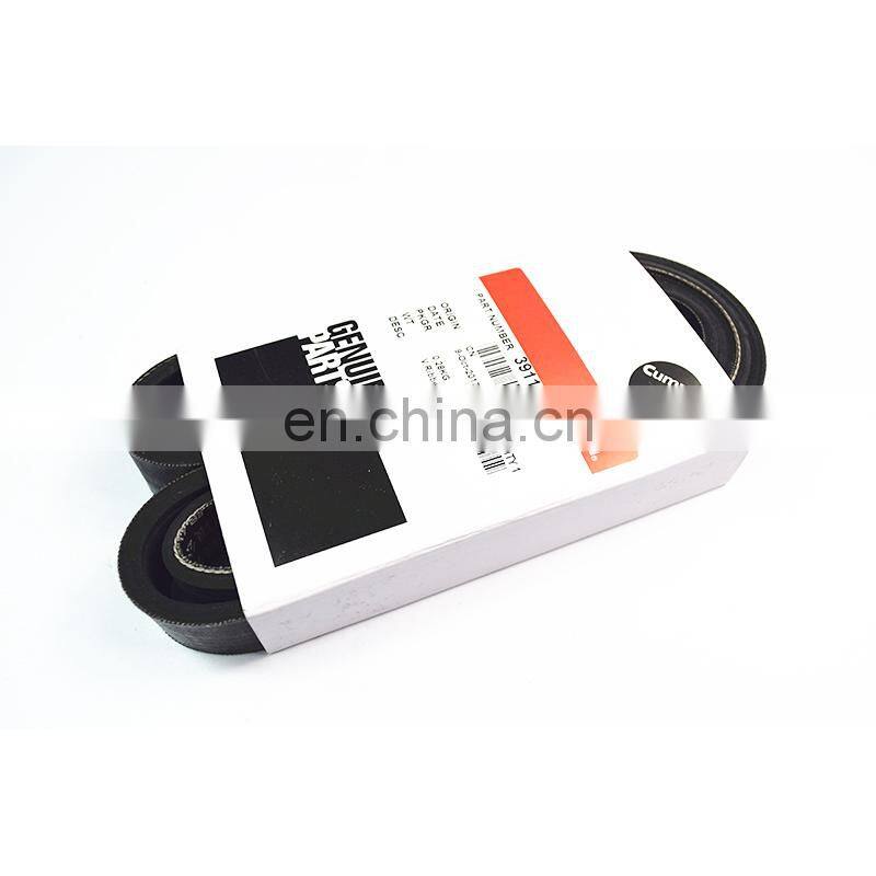 ISDE v ribbed belt for diesel engine 3911574