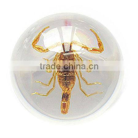 6.0 cm real resin acrylic marble ball with bugs