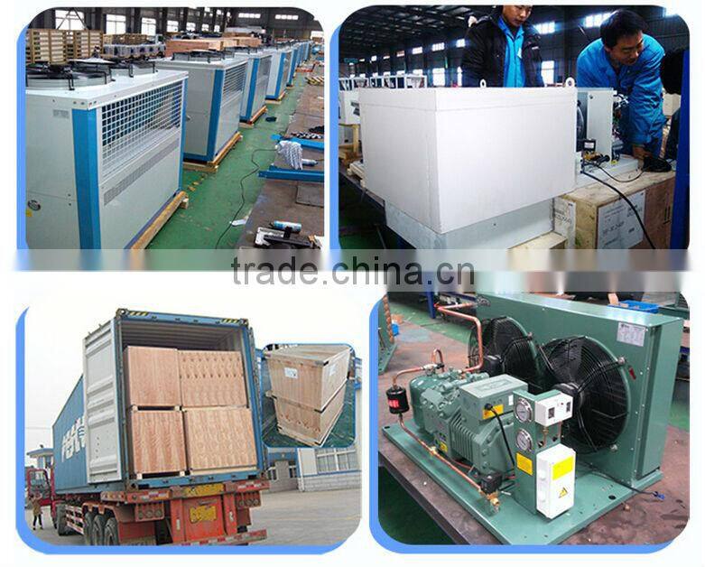 Air cooled compressor condensing unit