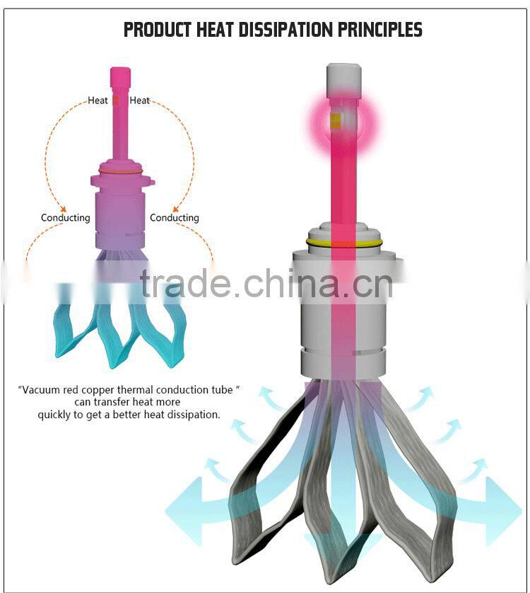 H1 H3 H7 H11 9005 XHP Chip H1 Led Headlight For Toyota