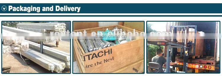 Geodesic dome tent Event dome tent White PVC cover 8m diameter UV-protection for sale