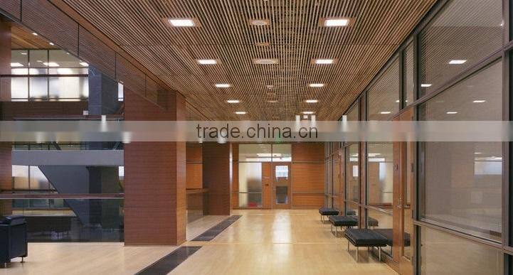 High Quality Eco-Friendly 2016 Newest LED Down Lighting