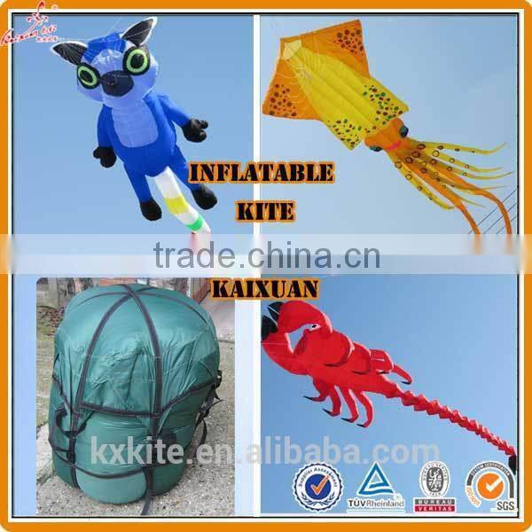 Durable Ripstop Nylon large Inflatable kite