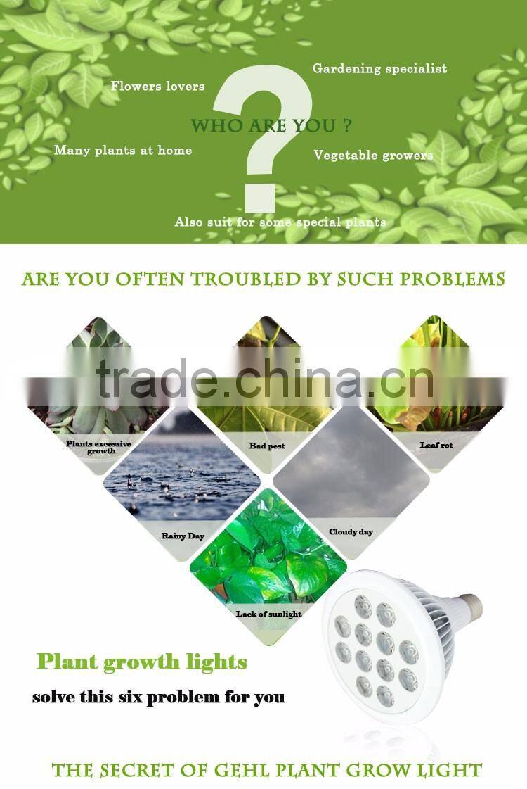 Flowering greenhouse Hydroponic grow light full spectrum wholesale flower led grow light