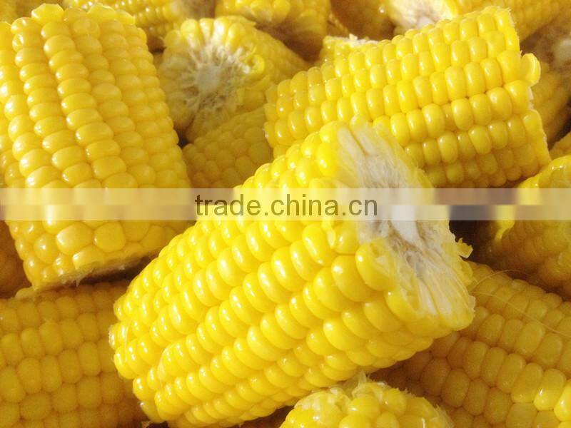 IQF sweet corn cut with best quality