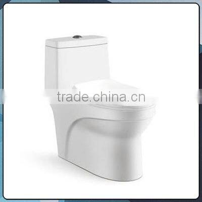 Sanitary ware china water closet one-piece B0841