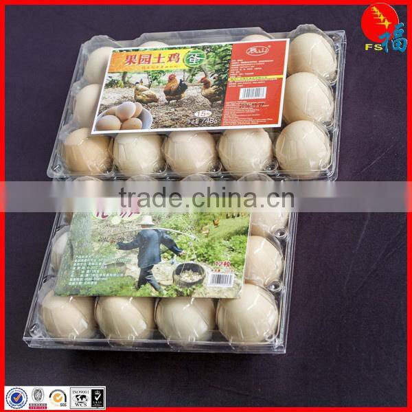 clear egg packing tray