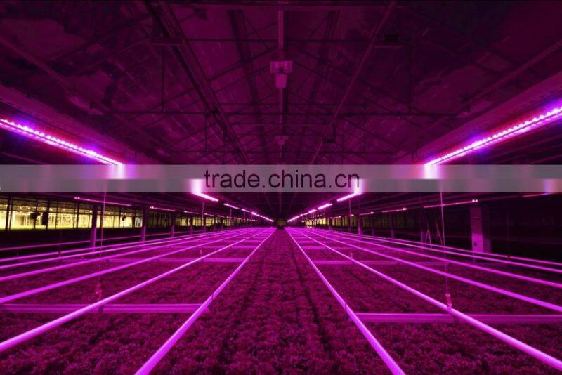 new growing led modular growth led lampe led vegetative grow light