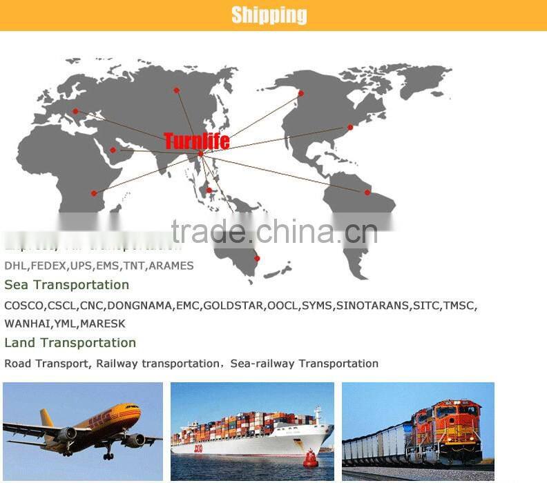 Electric Bicycle Battery Rear back e-bike battery case 36V 10Ah