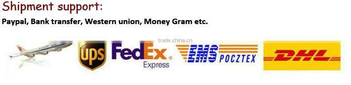 High Quality CCFL Angel Eyes with Two CCFL Inverters, Low Price Automobiles Accessory for F ocus 05