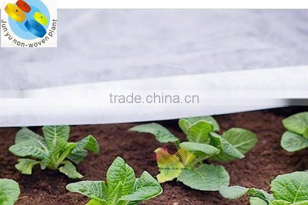 Junyu agriculture nonwoven fabric as a protection against heat loss in greenhouses and garden tunnels