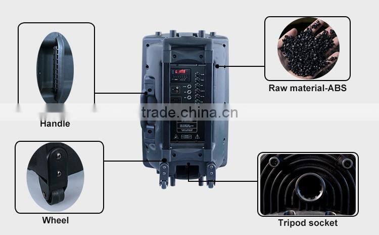 Factory Wholesale 12" Bluetooth Speaker With Standard Function