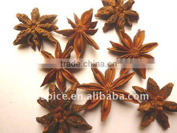 Grade A Chinese star aniseed