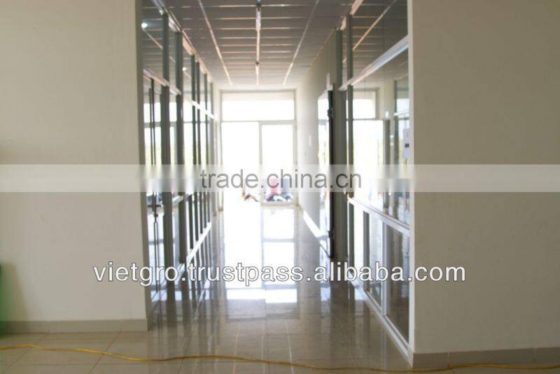 High Quality F1 Hybrid Okra Seeds VGO02